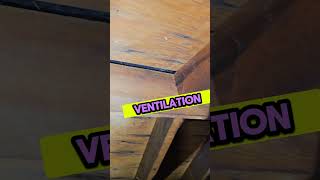 Most overlooked part of your attics health🏠 homeinspector [upl. by Eudo924]