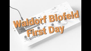 Waldorf Blofeld DEMO  First Day  Arturia Keystep [upl. by Marba977]