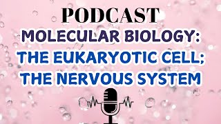 MOLECULAR BIOLOGYTHE EUKARYOTIC CELL THE NERVOUS SYSTEM [upl. by Sivrahc806]