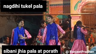 nagdihi tukel palashibani jhia pala at porath newvideo viralvideo dance trending [upl. by Nangatrad]