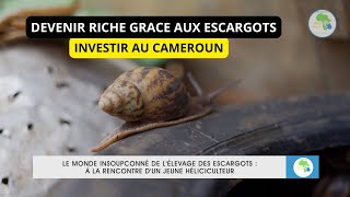 Reportage Cameroun le business de lélevage des escargots [upl. by Cedell]