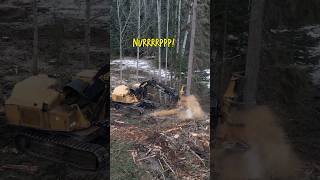 Falling two large trees in seconds Heavy equipment with sound heavyequipment forestry tigercat [upl. by Mloclam]