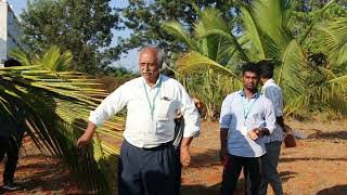 Management of Rugose Spiraling Whitefly  Dr S Sridharan Principal [upl. by Dysart]