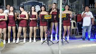 Best Songs Ilocano gig  Bangag Solana Cagayan cover CTJ NAVAS BAND  09168442301 [upl. by Gass]