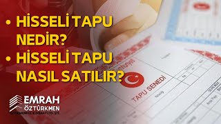 HİSSELİ TAPU NEDİR HİSSELİ TAPU NASIL SATILIR  GAYRİMENKUL EĞİTİMİ [upl. by Philipines]