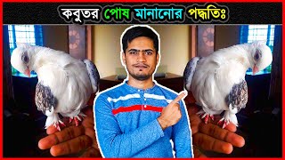 কবুতর পোষ মানানোর পদ্ধতি 🔥 How To Tame A Pigeon In Bangla 💗 কবুতর পালন পদ্ধতি ⚡ Jactok পাখি ভাইয়া [upl. by Reviel]