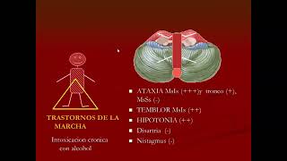 FSPTA 2022 Fisiopatologia de Sindromes Cerebelosos [upl. by Idelia251]