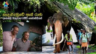 Nadungamuwe Ath Raja නැඳුන්ගමුවේ ඇත් රාජා Vocals Annesley Malawana and Rajiv Sebastian [upl. by Alejoa]