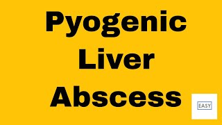 HEPATIC DISORDERS LIVER DISEASES 15 Pyogenic Liver Abscess [upl. by Oidualc]