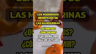 MANDARINA LA FRUTA REPLETA DE VITAMINA C 🍊💪 mandarina frutas [upl. by Dirgni]