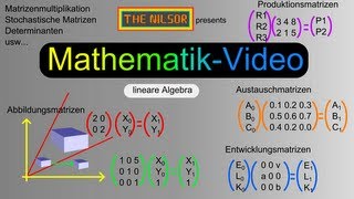 TheNilsor  Mathematik  MatrixVerschiebung [upl. by Sheena716]