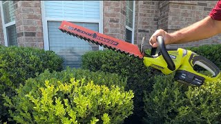 Ryobi 18V Ryobi Hedge Trimmer P2606VNM with Hedge Sweep  One Year Review [upl. by Notned]