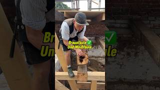 Braunfäule VS Weißfäule erkennen bei Balkenkopfsanierungen handwerk diy shorts woodworking [upl. by Bullivant]