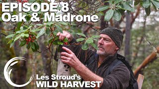 Survivorman  Les Strouds Wild Harvest  Season 1  Episode 8  Oak amp Madrone [upl. by Ardnazil]