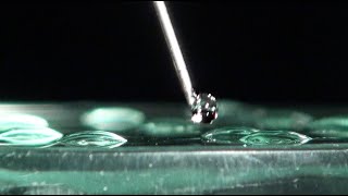 Hydrophile et hydrophobe — expérience scientifique 605 de Grains de bâtisseurs [upl. by Aknaib]