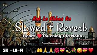 Rok Lo Abbas Ko 💝🥰 slowed  Reverb  Lofi Song 🎶🎧 [upl. by Tireb]