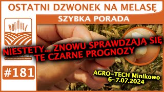 NIESTETY ALE SPRAWDZAJĄ SIĘ TE CZARNE PROGNOZY  HEKTAR WIEDZY  SZYBKA PORADA 181 [upl. by Nitsruk]