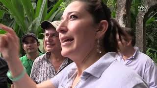 El jardín surrealista de Edward James en Xilitla San Luis Potosí MEXAMORES [upl. by Kiraa]