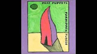 Meat Puppets  Nail It Down [upl. by Anyar]