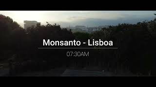 20240831 Monsanto  CINEMATIC [upl. by Alrak]