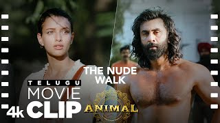 ANIMAL TELUGU SCENE 19 The Nude Walk  Ranbir Gets The Donor  Ranbir Tripti SandeepV Bhushan K [upl. by Enimrac]