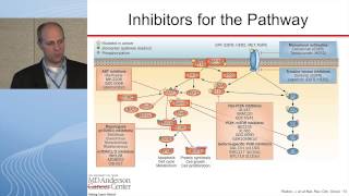 Targeting the PI3KAktmTOR Pathway [upl. by Nuahs762]