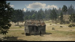 Red Dead Redemption 2 41  Recanto Beechers Hope 4K [upl. by Nnylyak]