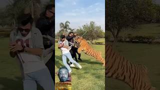 Tiger Dangerously Attacks On Boy  Nouman Hassan [upl. by Gusty]