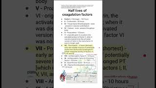 Half lives of coagulation factors [upl. by Nimesay]