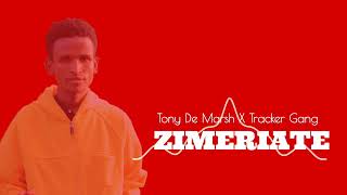 Zimeriate by Tony De Marsh ft Trackers Gang Official audio [upl. by Newg]