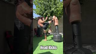 Head Kicks [upl. by Wayne]