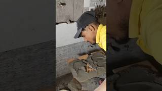 Bathroom wall tiles fitting 🚽🤔👍 floor tiles work ⚒️shorts viral trending [upl. by Alston591]