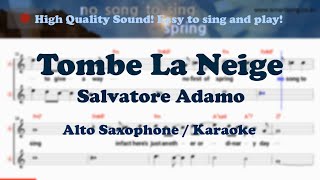 Tombe La Neige  Salvatore Adamo Alto Saxophone Sheet Music Gm Key  Karaoke  Easy Solo Cover [upl. by Etram]