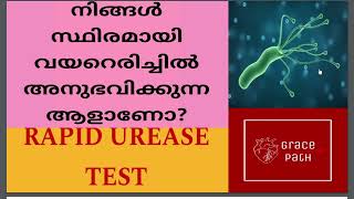 Rapid Urease Test RUT  CLO Test  Helicobacter Pylori Malayalam [upl. by Aicnatsnoc]