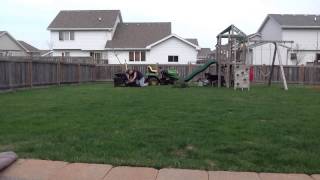 Timelapse Planting Of A Black Gum Tree [upl. by Heinrich576]