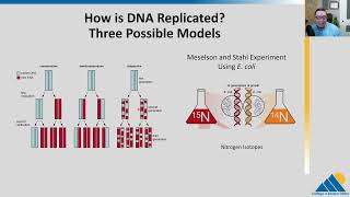 BIO201 Ch143  Basics of DNA Replication [upl. by Chobot560]