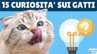 15 Curiosità sui Gatti 🐱😻🪥 [upl. by Saville]