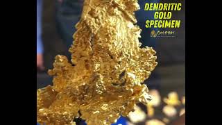 A distinct gold crystal with a course dendritic texture in places on the specimen raregold [upl. by Ahsenad]