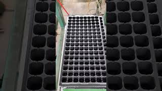 Cheap Polystyrene 128 Cell Trays Supplier seedlingtrays seedstarting [upl. by Soule]