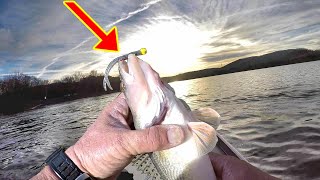 Sauger Fishing Secrets [upl. by Sharon]