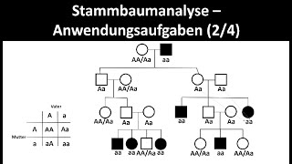 Stammbaumanalyse  Anwendungsaufgaben 24  Biologie Oberstufe [upl. by Enylecoj]