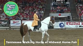 The Elegant Tennessee Walking Horse at Midwest Horse Fair 2023 [upl. by Nnyl]