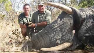 Elephant crushes Big Game Hunter Theunis Botha In Africa JUSTICE FOR NATURE [upl. by Enaols987]