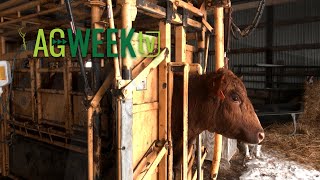 AgweekTV Full Episode 030224 S10E09 [upl. by Idola]