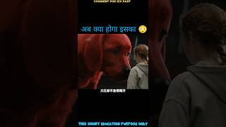 the big red dog full movie Explain in fifth part। reddog movie shorts [upl. by Denver]