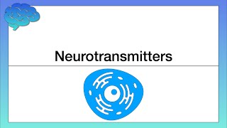 How do Neurotransmitters Work Chemical Activity in the Brain [upl. by Ynes622]