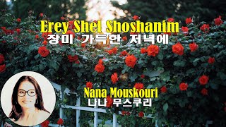 Erev Shel Shoshanim  Nana Mouskouri 장미 가득한 저녁에  나나 무스쿠리 lyrics가사 해석 자막 [upl. by Raknahs]