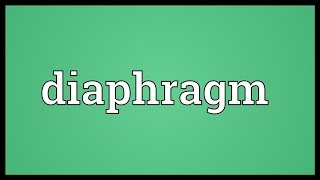 Diaphragm Meaning [upl. by Lette]