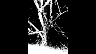 ABYZOU US  DARK MOON OF WINTER RAW BLACK METAL [upl. by Ah]