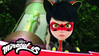 MIRACULOUS  🐞 NEUGESTALTUNG – Der finale Tag Teil 2  Akumatisierung 🐾  STAFFEL 5 FOLGE 26 [upl. by Blaise]